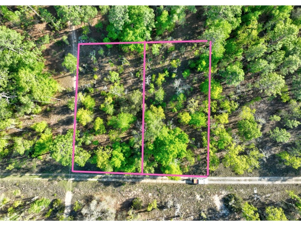 0 NE 16 Pl Williston FL 32696 O6187165 image1