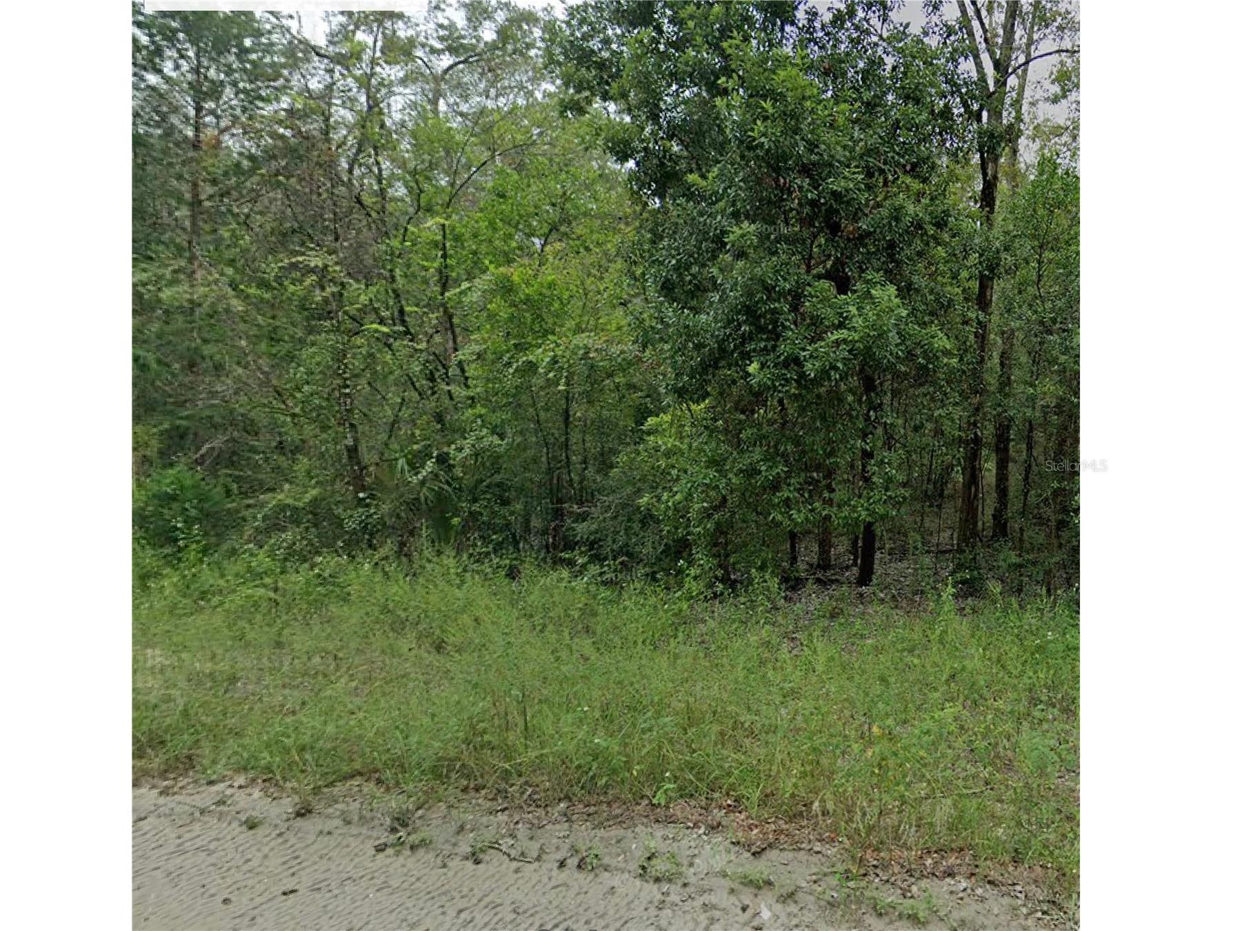 0 NE 160th Avenue Williston FL 32696 W7882188 image1