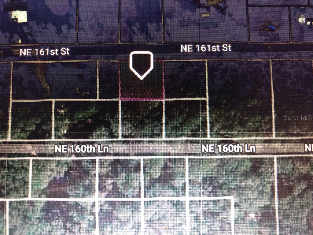 0 NE 161st Street Citra FL 32113 OM658420 image3