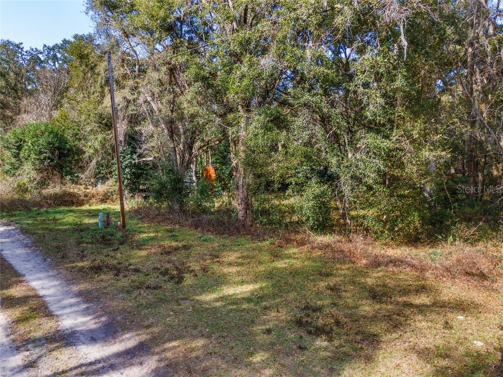 0 NE 161st Street Citra FL 32113 OM673657 image1