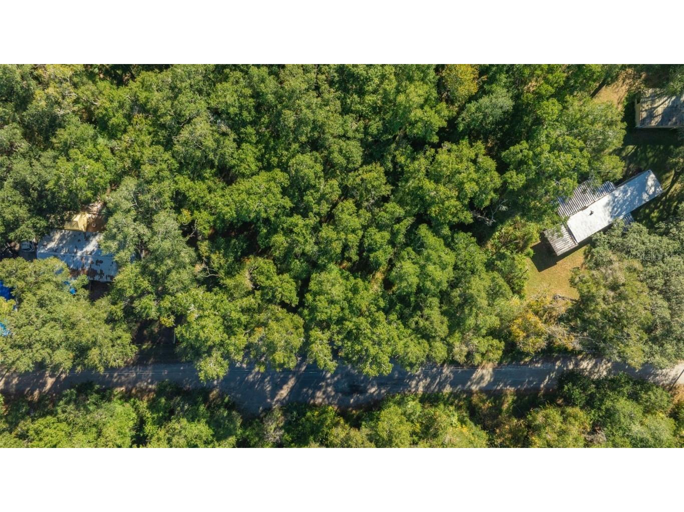0 NE 164th Lots 53 54 55 Lane Citra FL 32113 A4675574 image10
