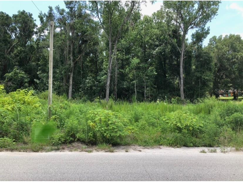 0 NE 167th Place Citra FL 32113 OM659897 image1