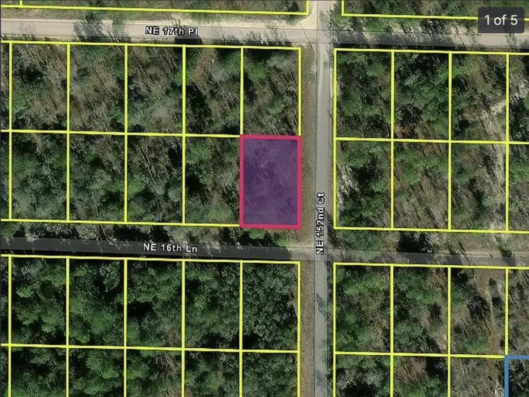 0 NE 16th Place Williston FL 32696 A4683956 image1