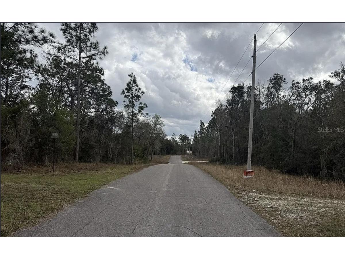 0 NE 16th Place Williston FL 32696 A4683956 image2