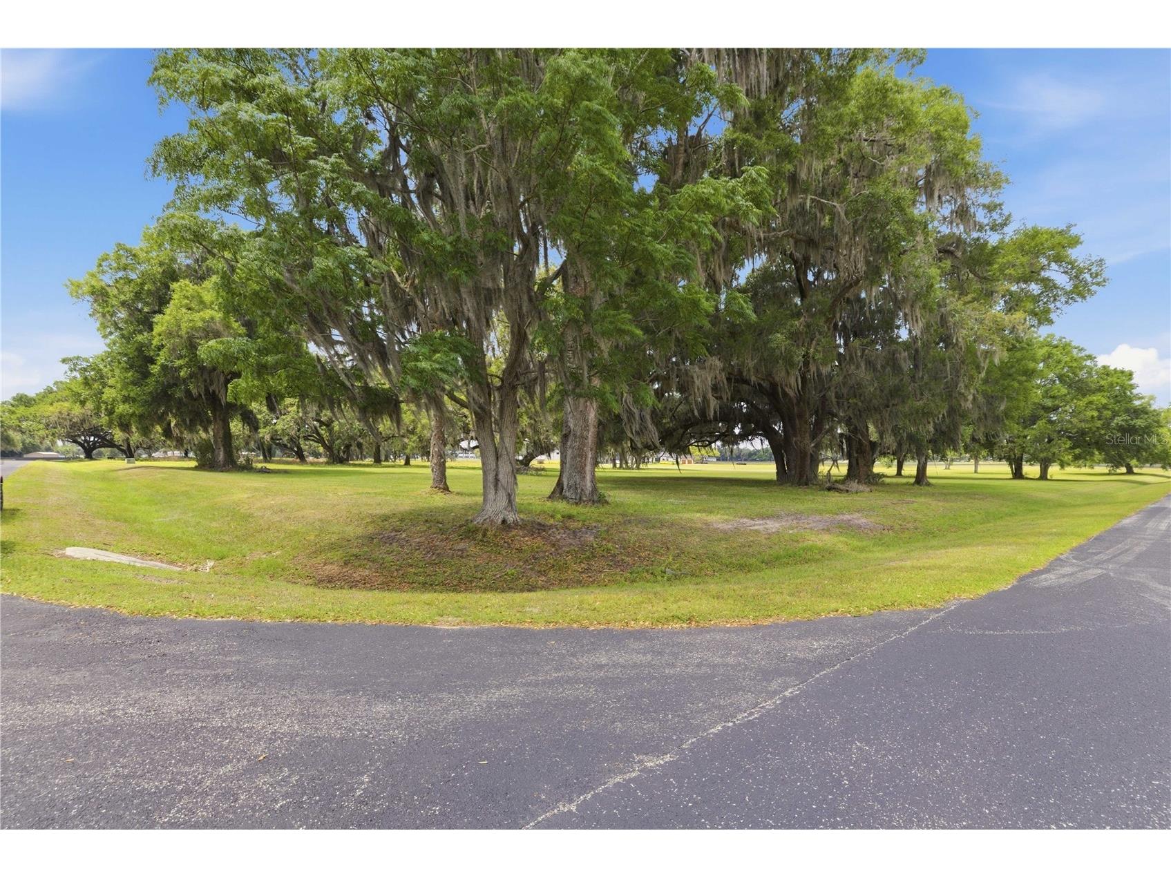 0 NE 16th Terrace #LOT 14 Ocala FL 34479 OM723907 image14