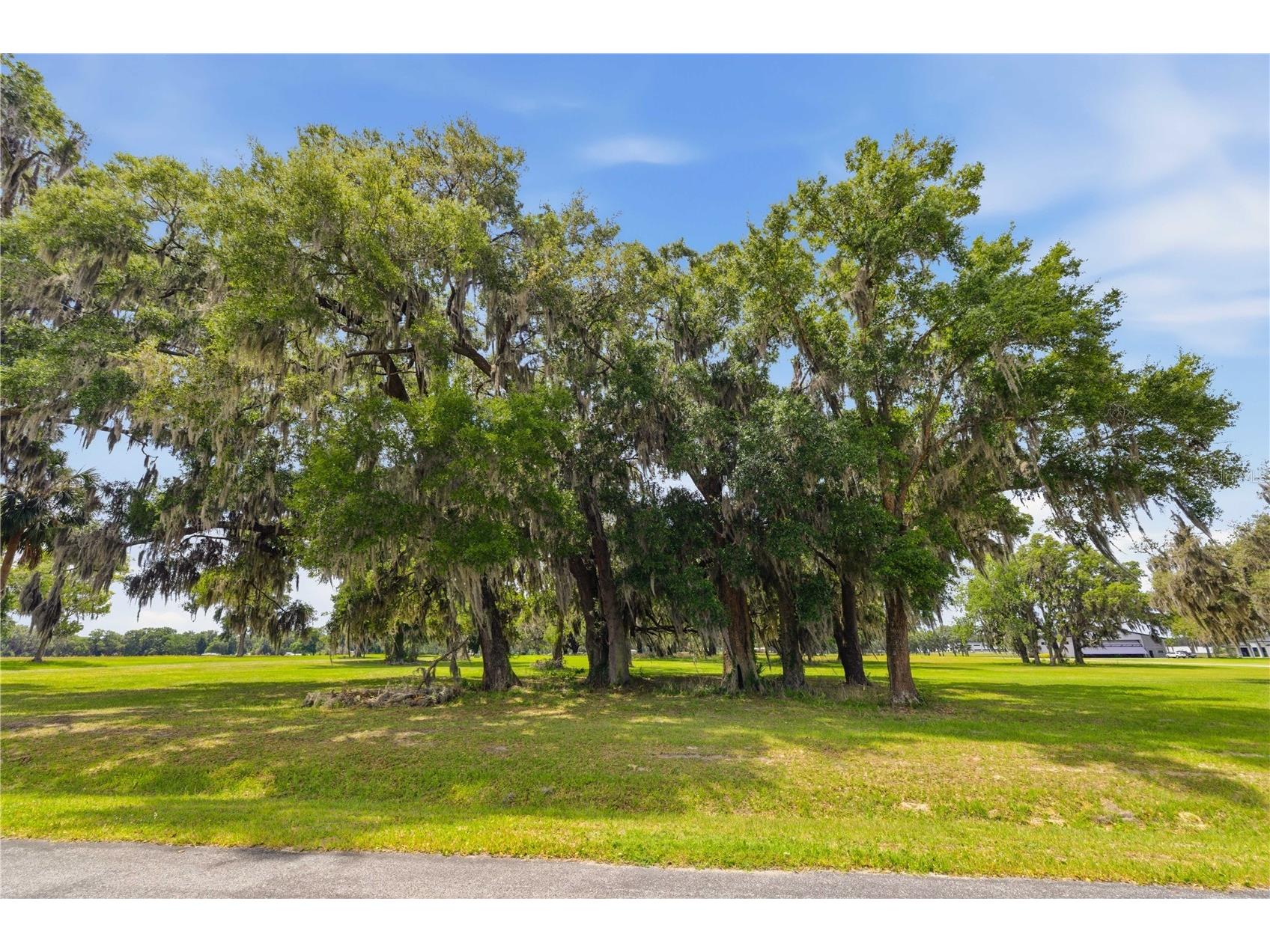 0 NE 16th Terrace #LOT 14 Ocala FL 34479 OM723907 image15