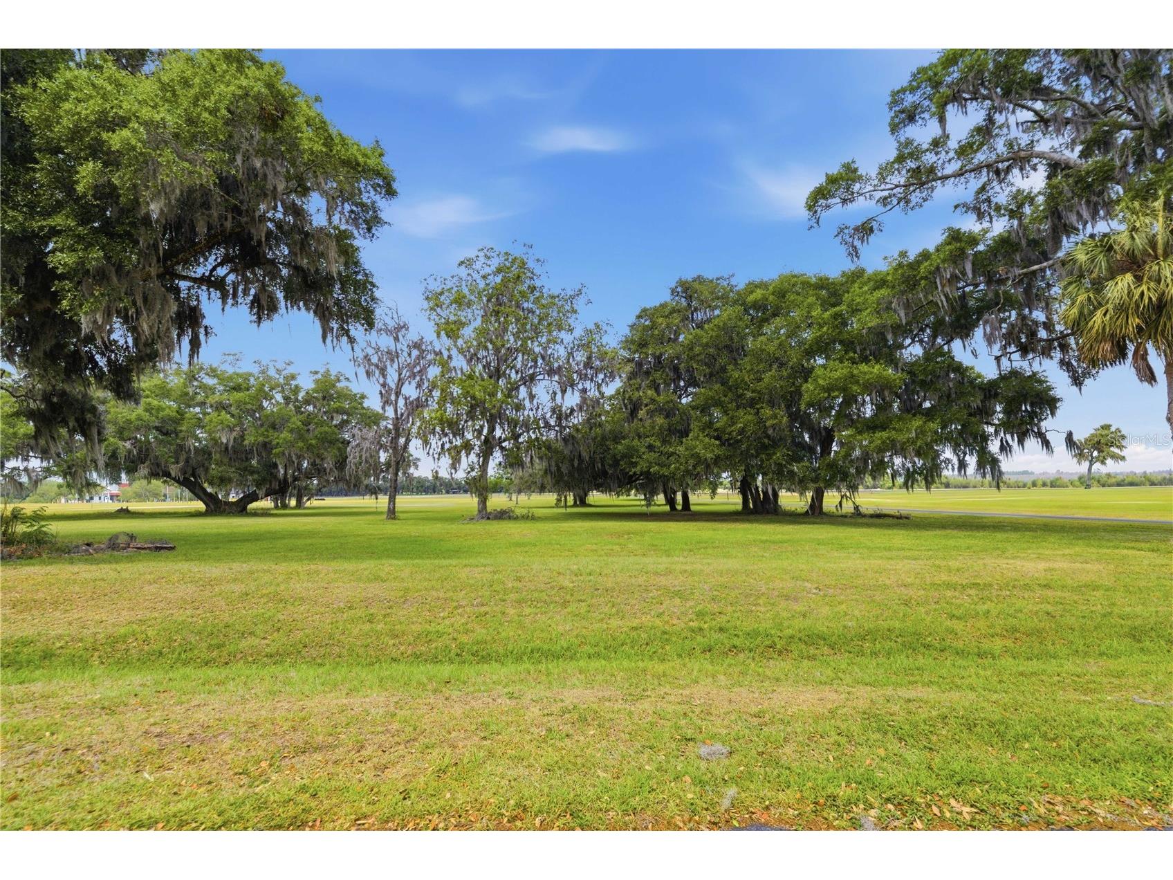 0 NE 16th Terrace #LOT 14 Ocala FL 34479 OM723907 image7