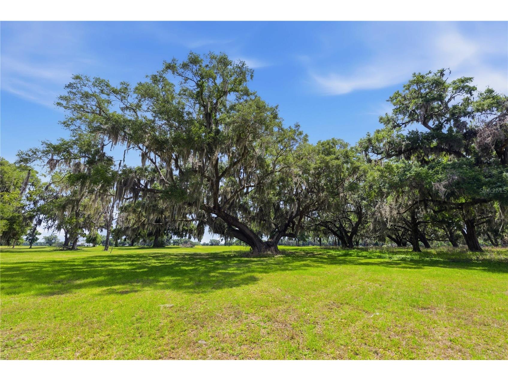 0 NE 16th Terrace #LOT 14 Ocala FL 34479 OM723907 image15