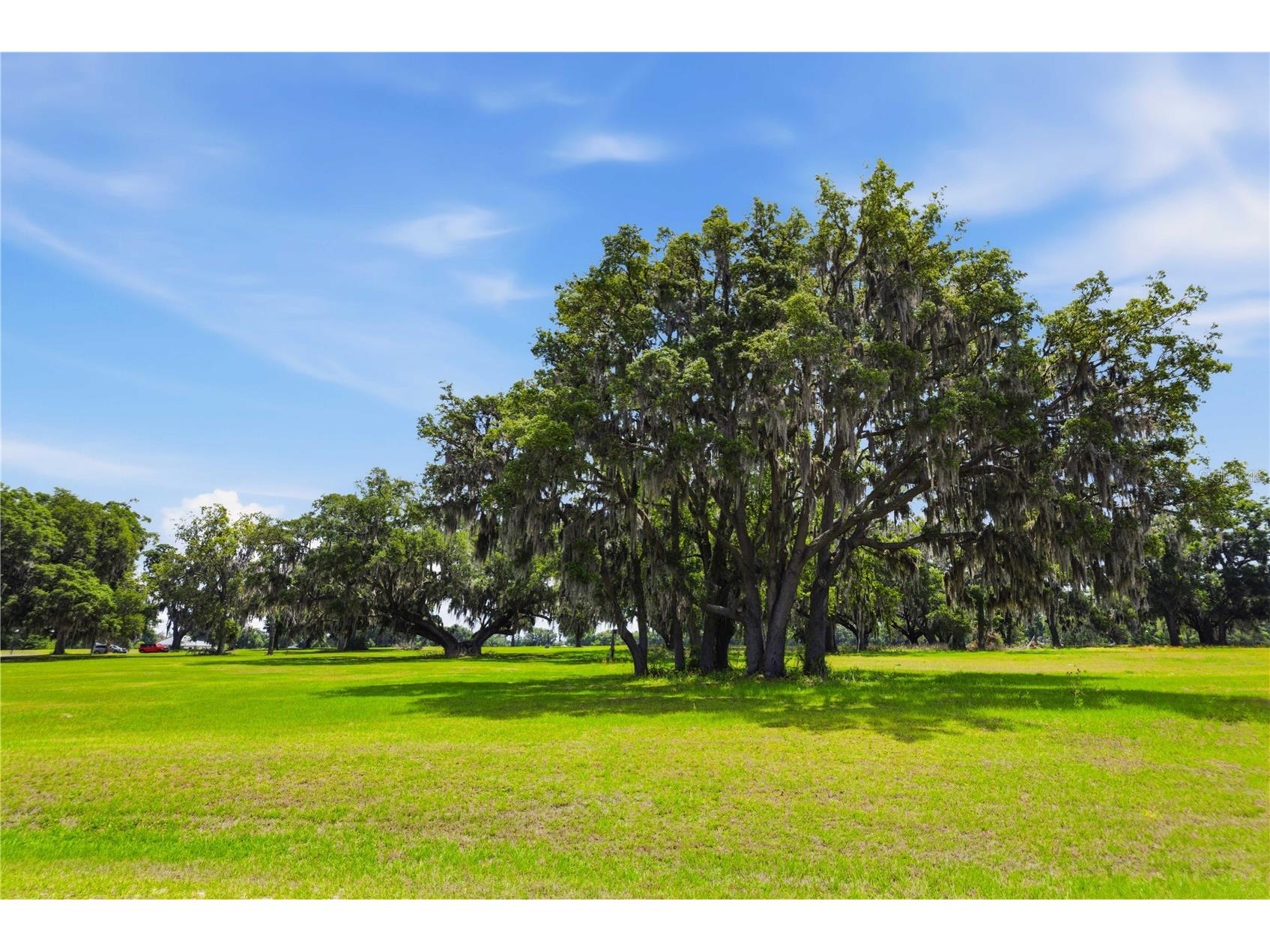 0 NE 16th Terrace #LOT 14 Ocala FL 34479 OM723907 image16