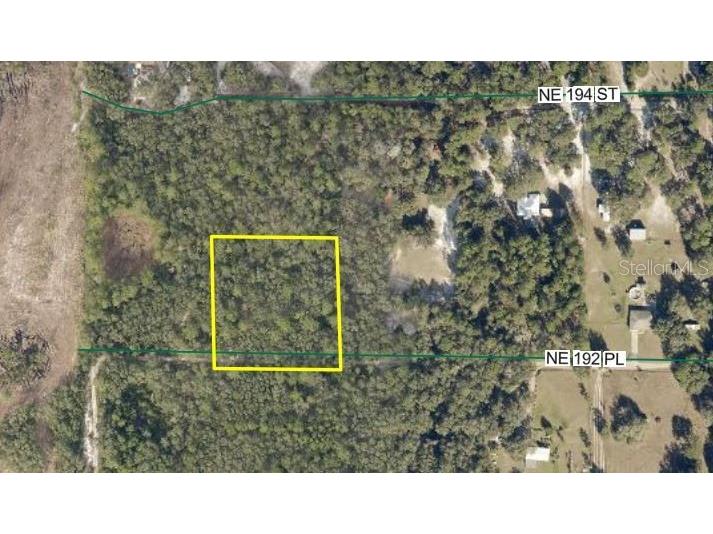 0 NE 192 Place Citra FL 32113 OM726282 image1