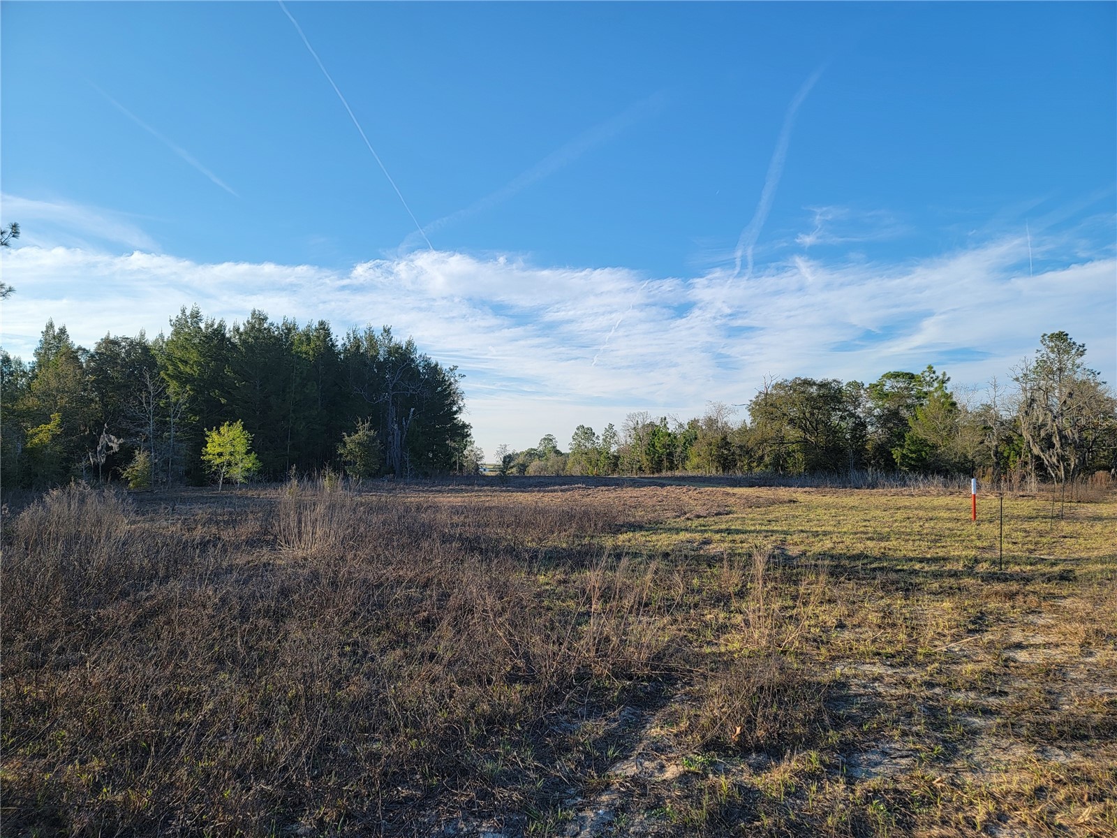 0 NE 20th Street Williston FL 32696 OM719852 image10