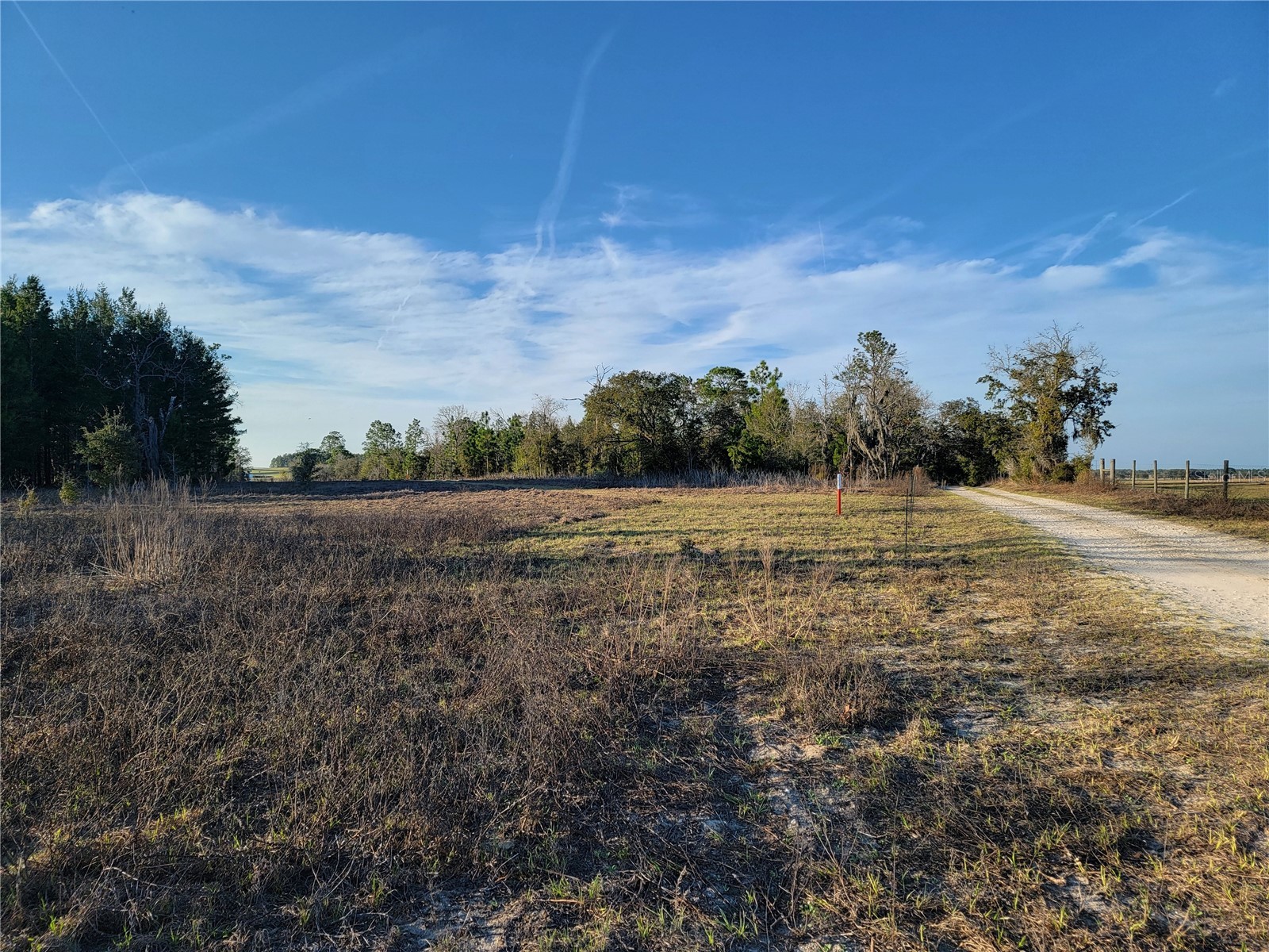 0 NE 20th Street Williston FL 32696 OM719852 image11