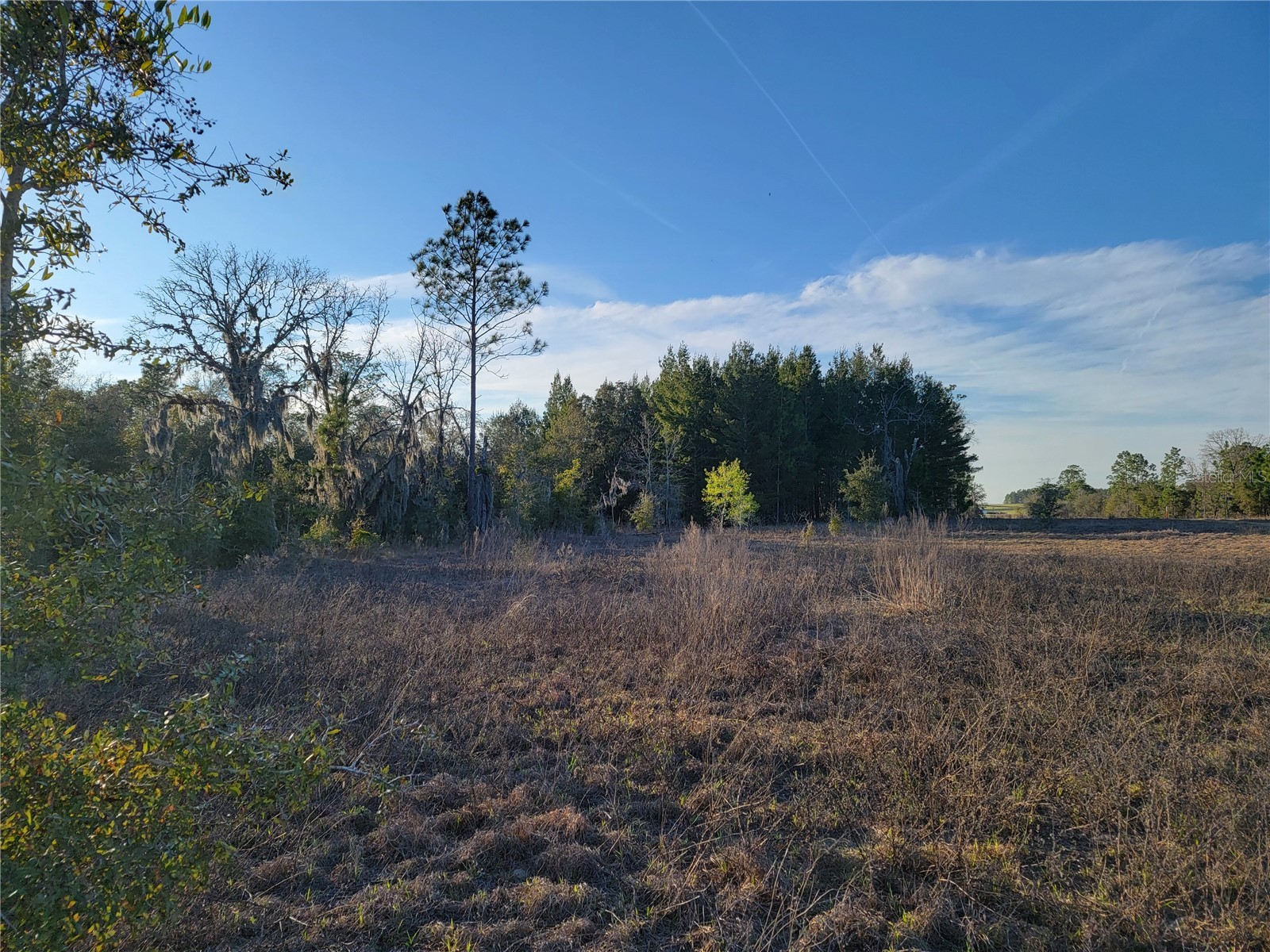0 NE 20th Street Williston FL 32696 OM719852 image14
