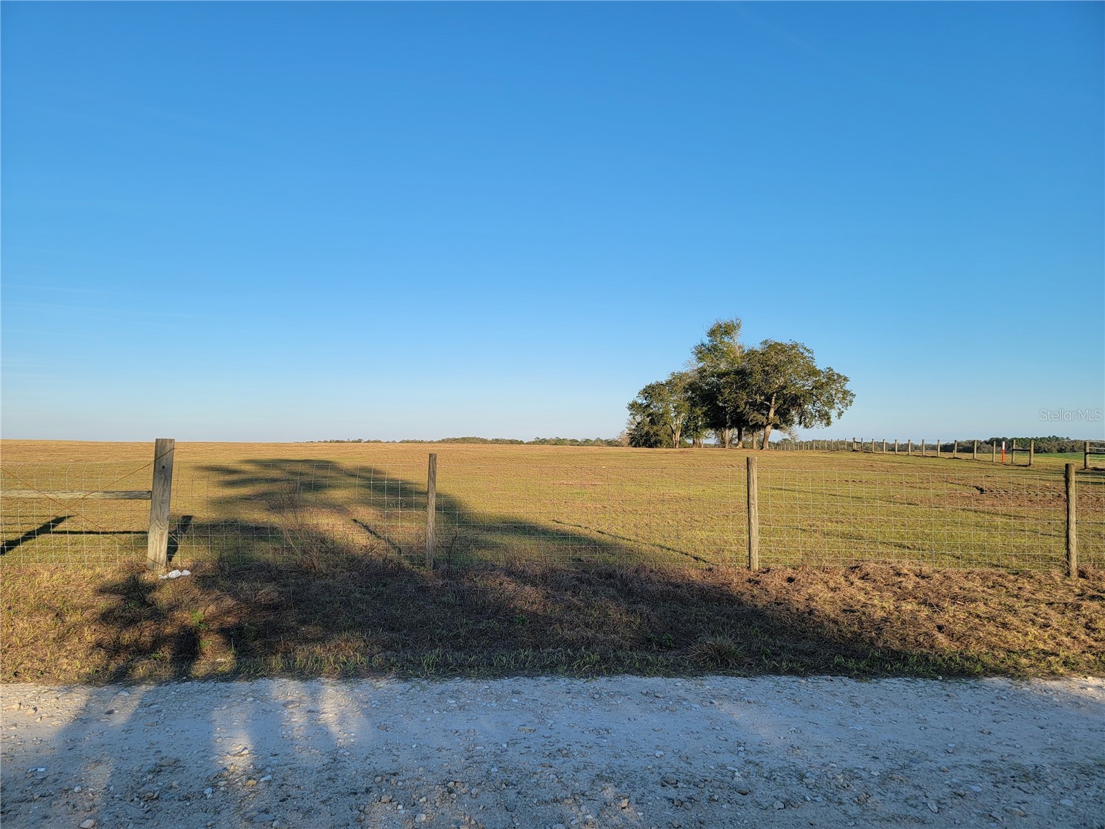 0 NE 20th Street Williston FL 32696 OM719852 image16