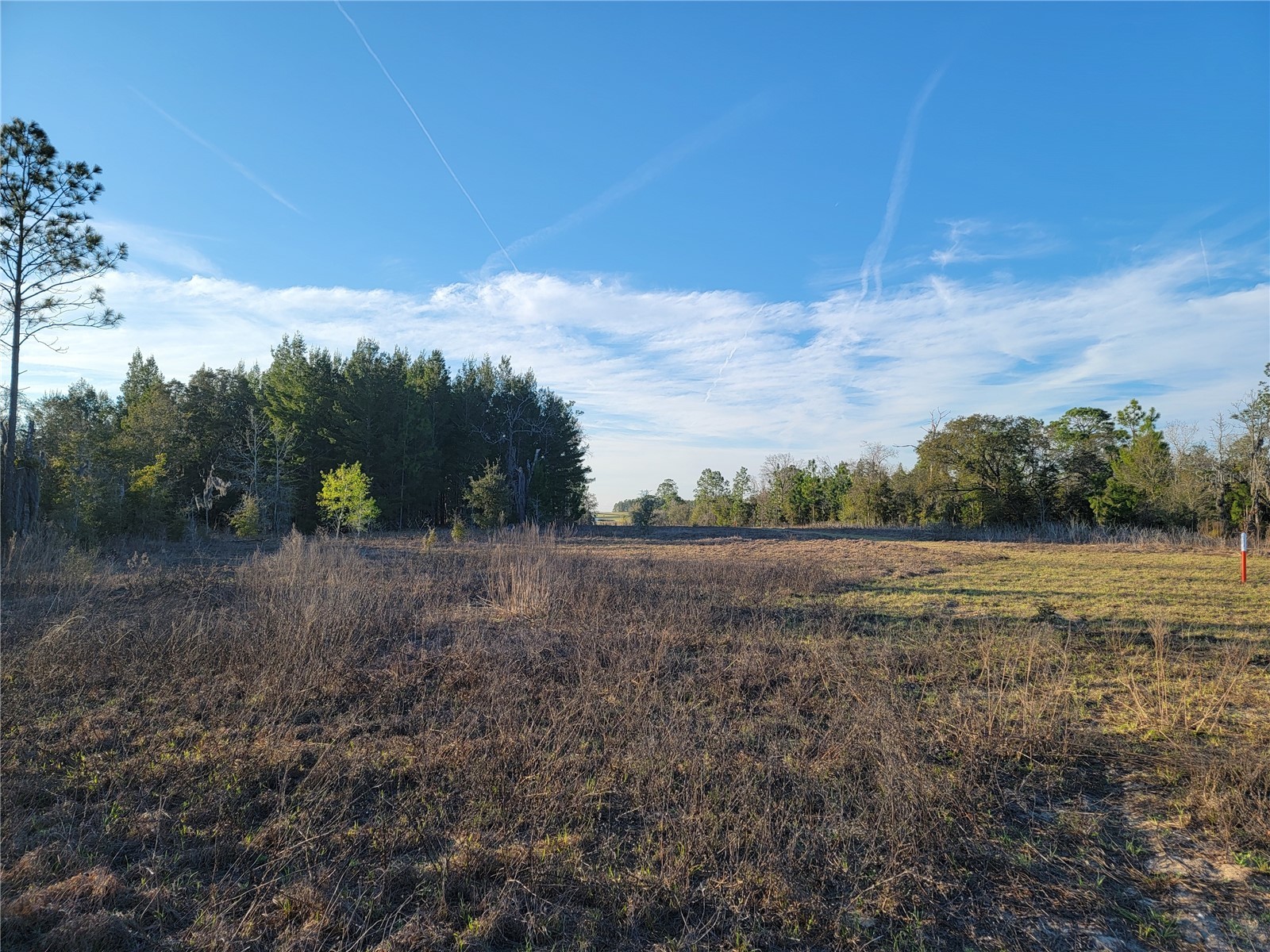 0 NE 20th Street Williston FL 32696 OM719852 image2