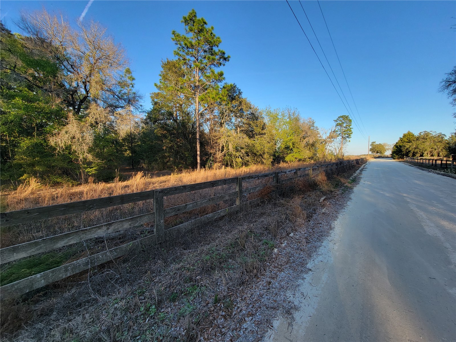 0 NE 20th Street Williston FL 32696 OM719852 image3