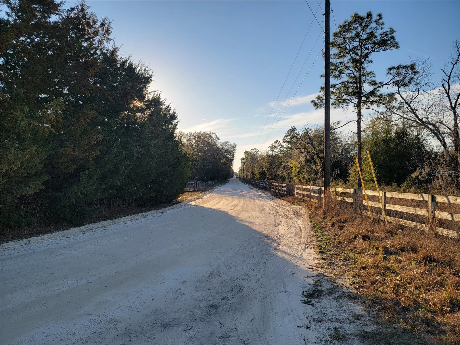 0 NE 20th Street Williston FL 32696 OM719852 image4