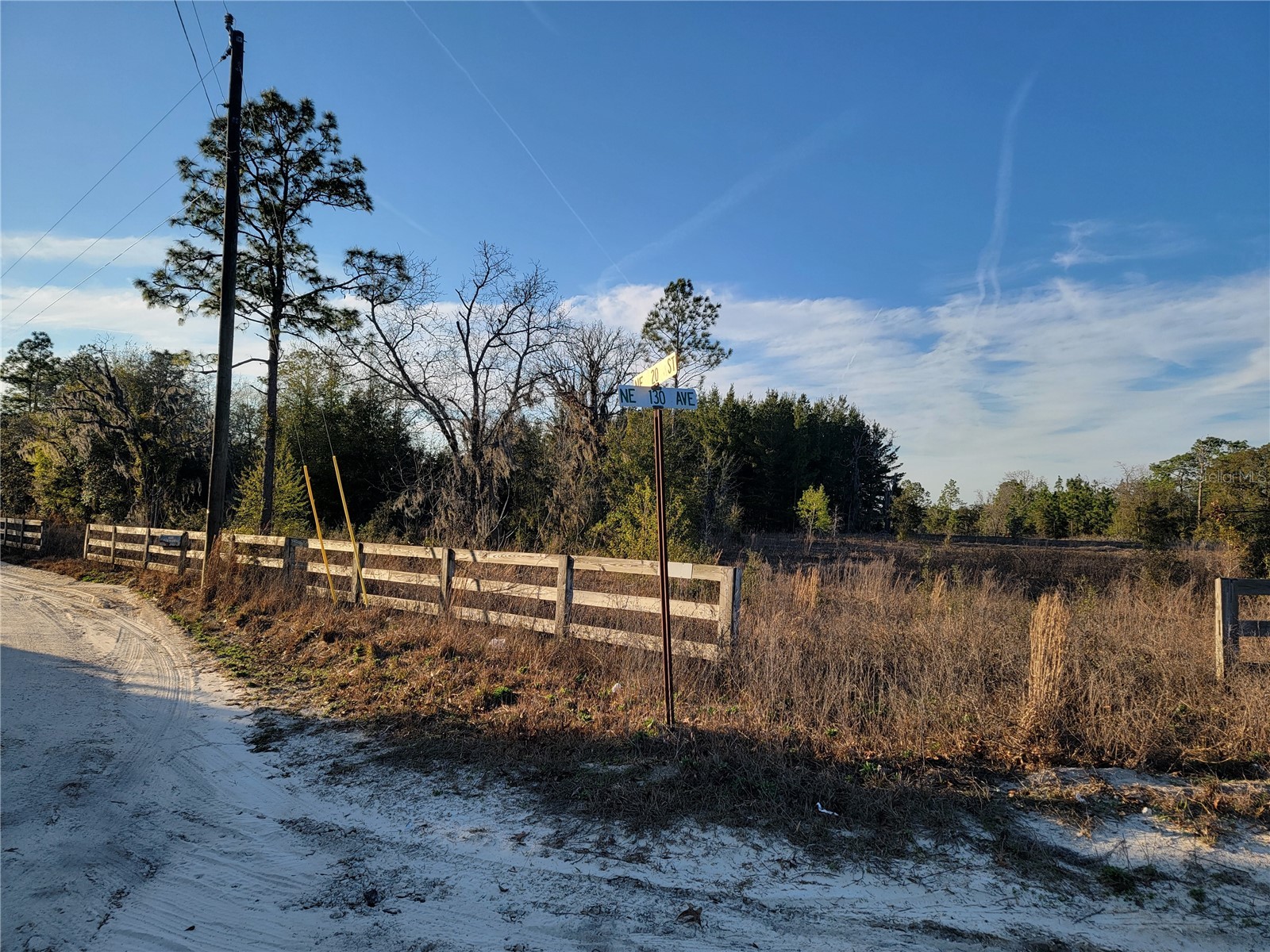 0 NE 20th Street Williston FL 32696 OM719852 image5