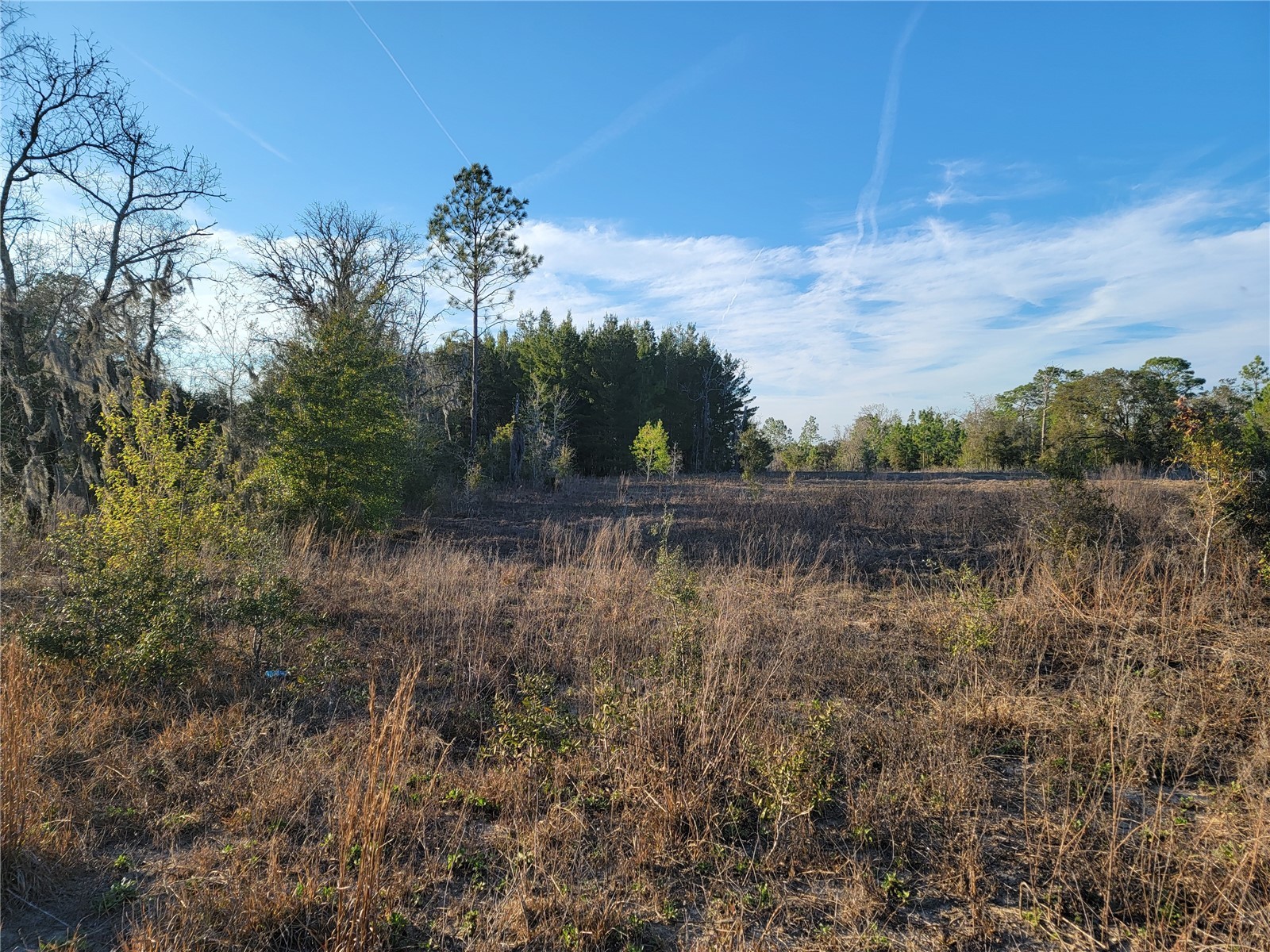 0 NE 20th Street Williston FL 32696 OM719852 image7
