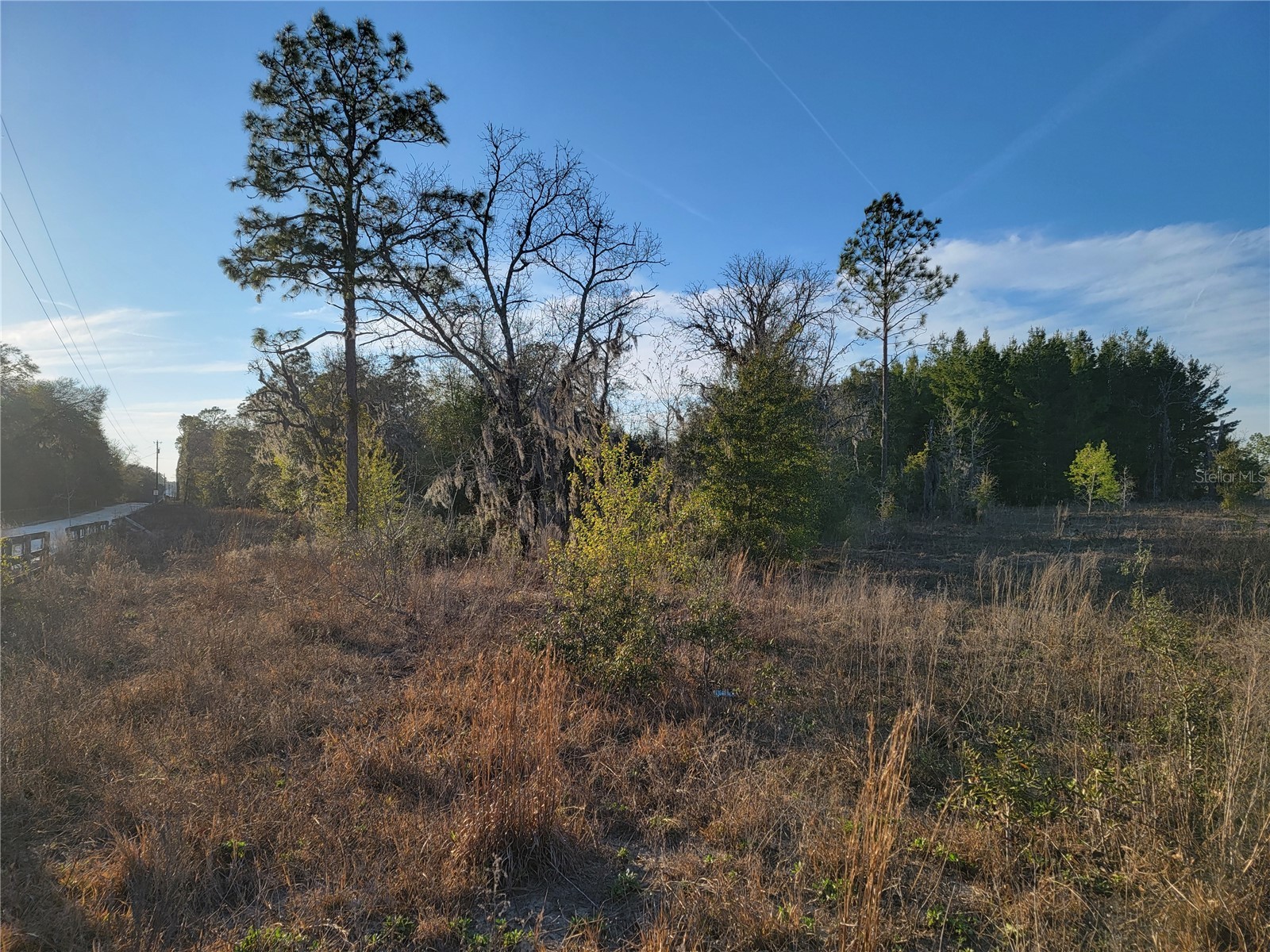 0 NE 20th Street Williston FL 32696 OM719852 image8