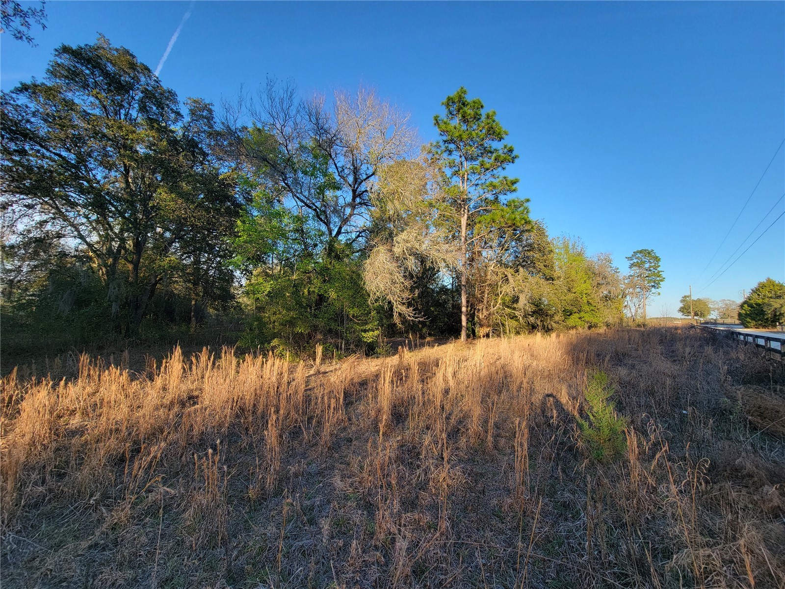 0 NE 20th Street Williston FL 32696 OM719852 image9