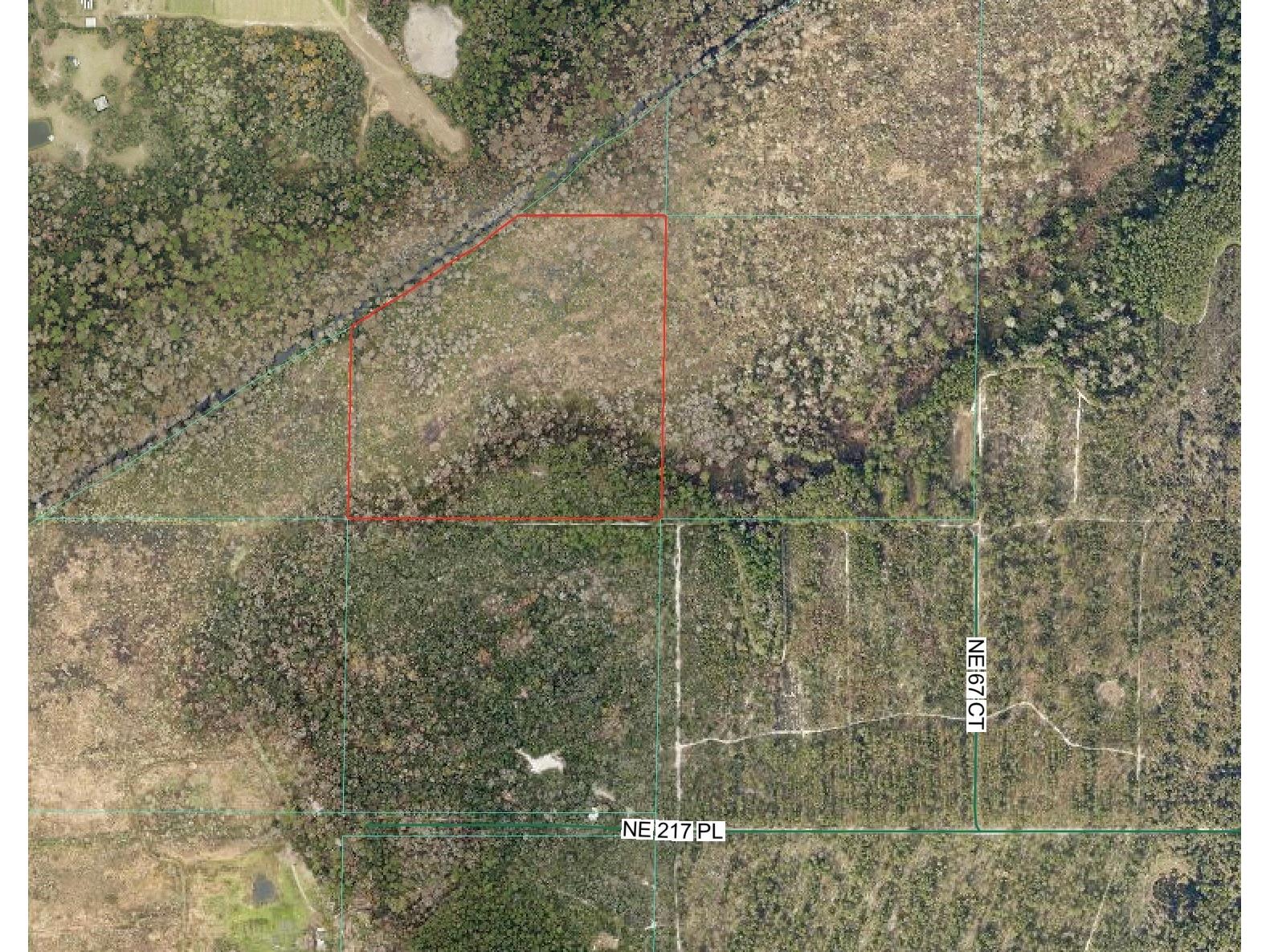 0 NE 217th Pl Citra FL 32113 OM727950 image1