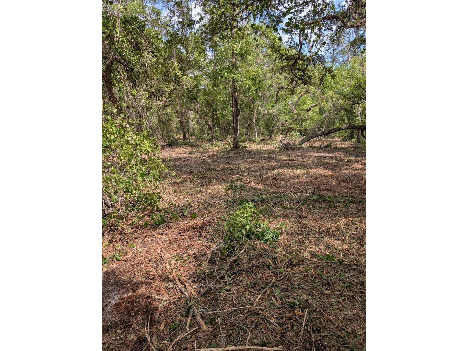 0 NE 220th Street Fort Mc Coy FL 32134 OM724633 image10