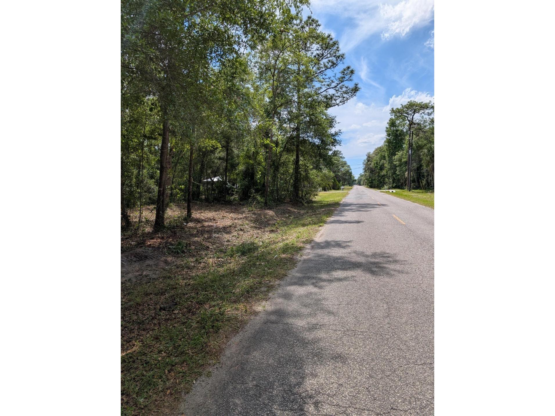 0 NE 220th Street Fort Mc Coy FL 32134 OM724633 image2