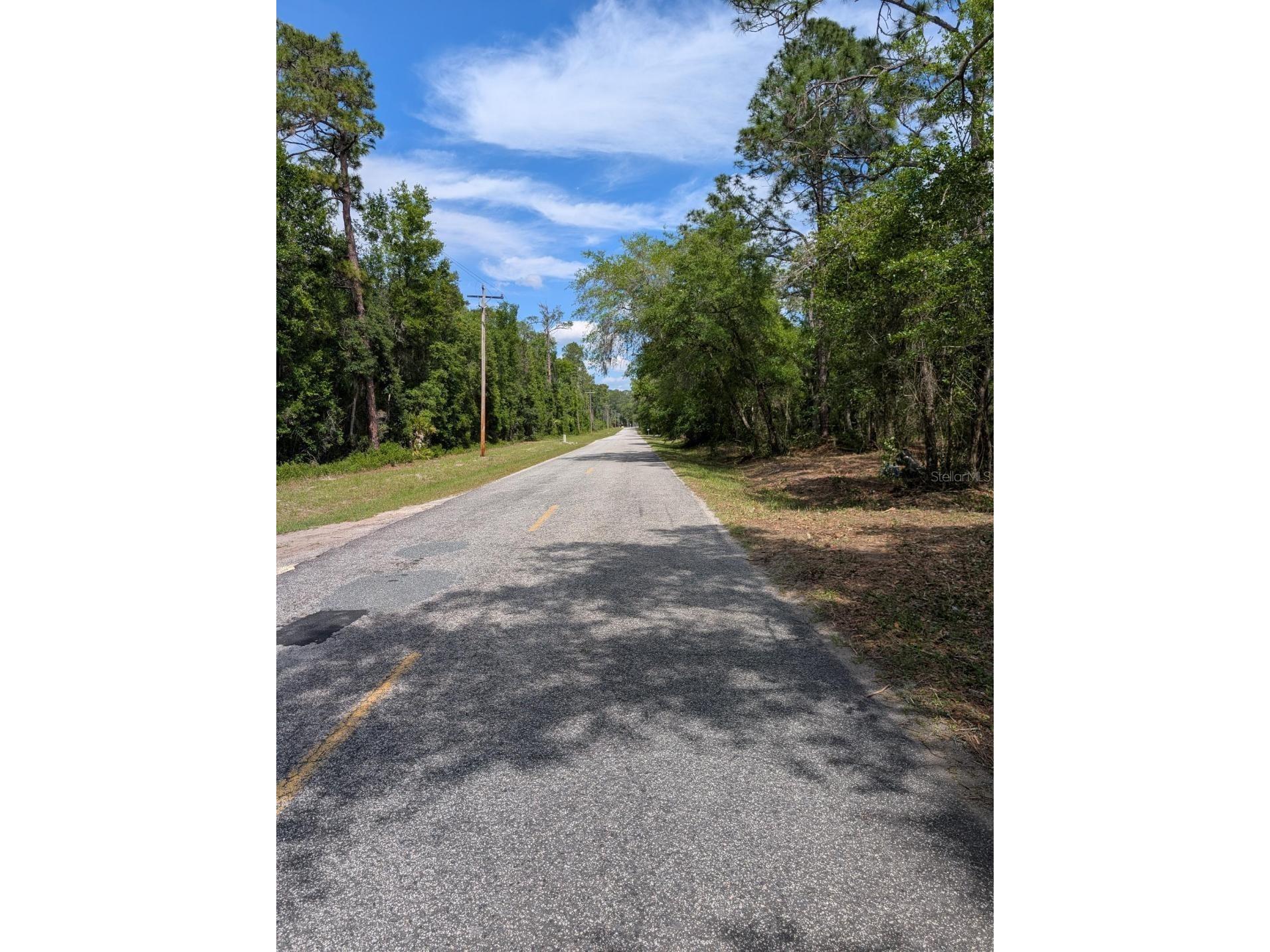 0 NE 220th Street Fort Mc Coy FL 32134 OM724633 image3