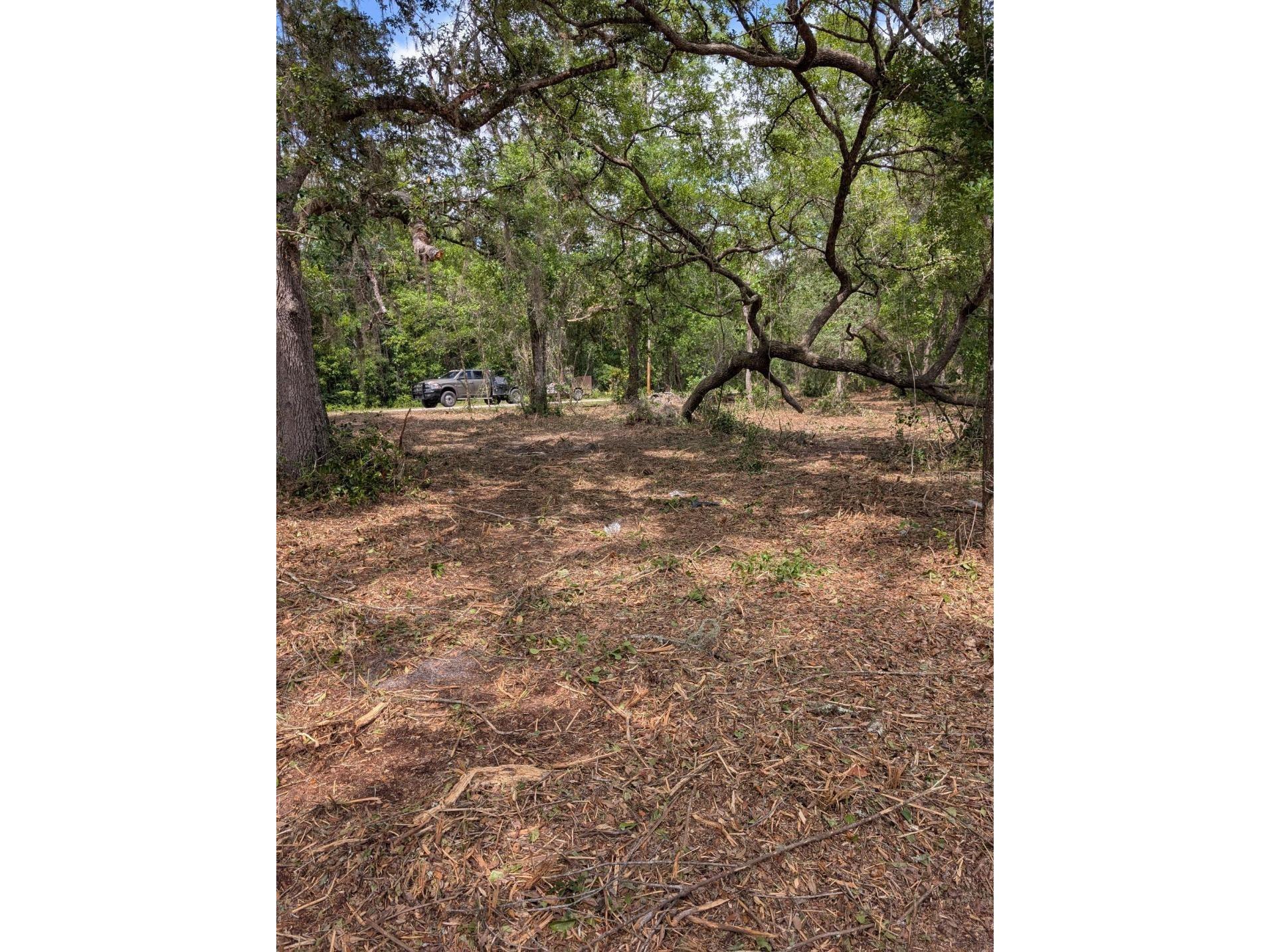 0 NE 220th Street Fort Mc Coy FL 32134 OM724633 image4