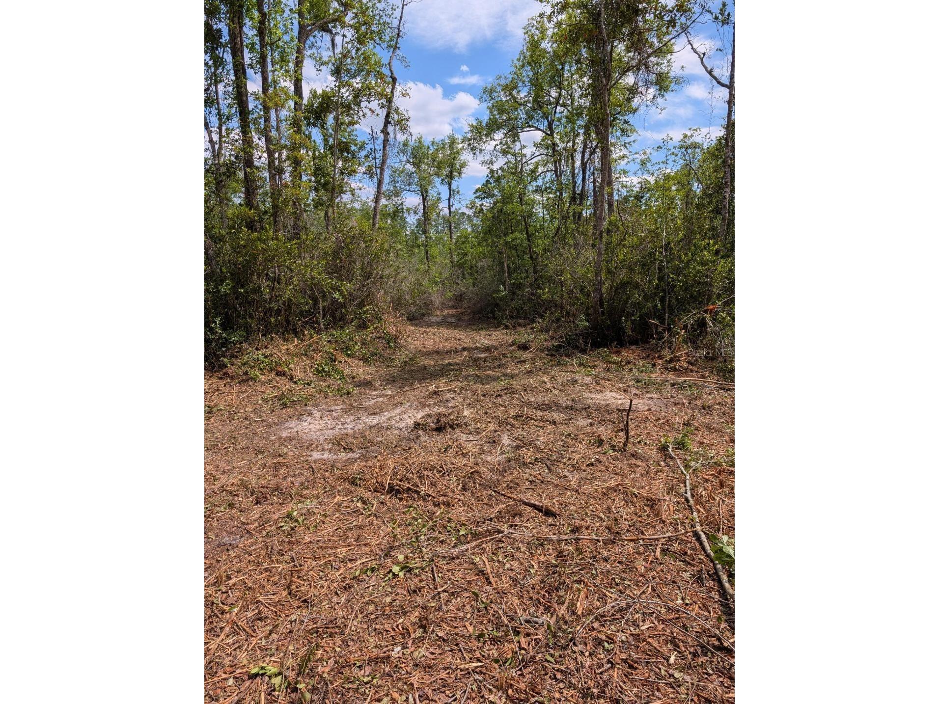 0 NE 220th Street Fort Mc Coy FL 32134 OM724633 image6