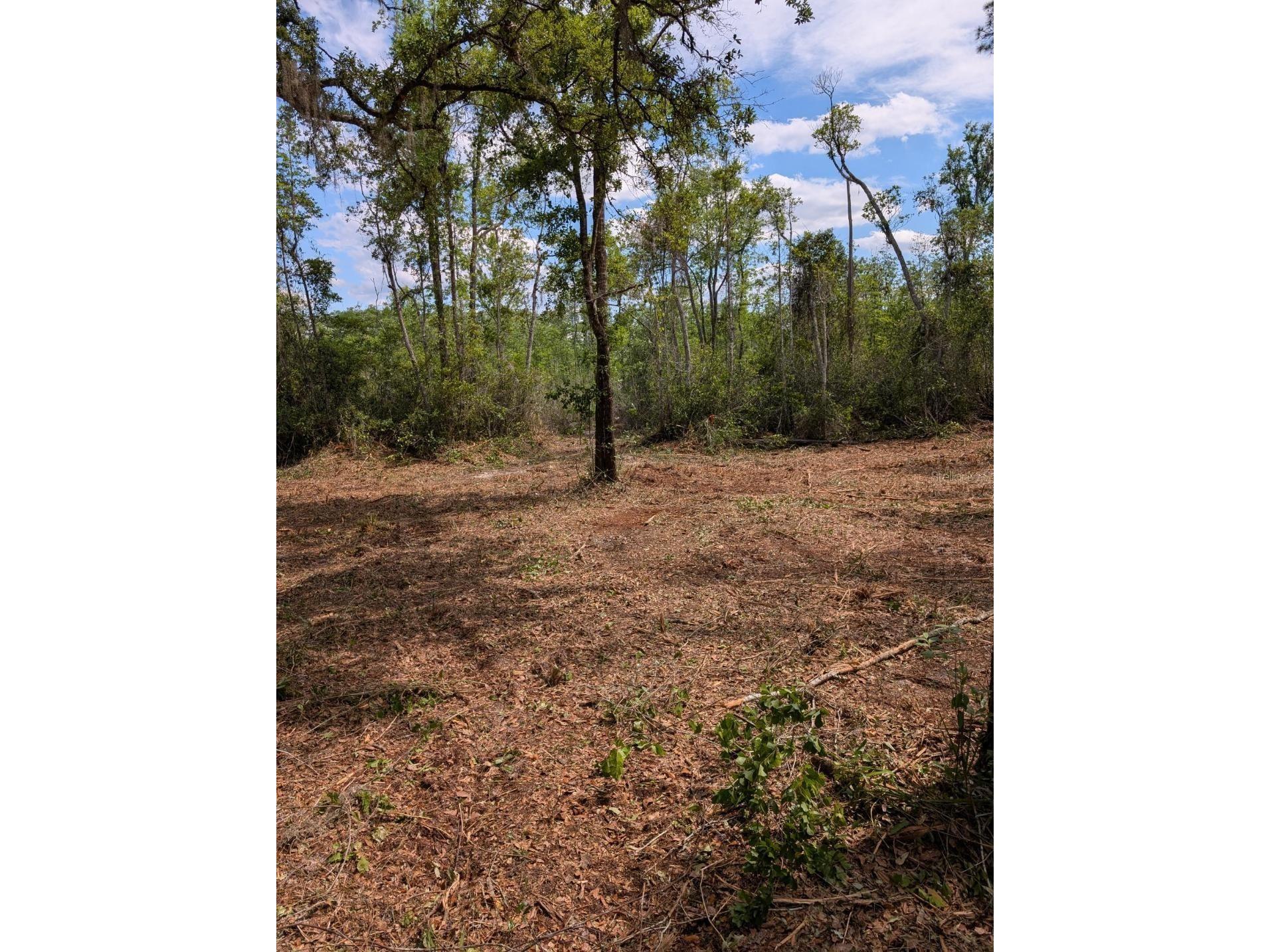 0 NE 220th Street Fort Mc Coy FL 32134 OM724633 image7
