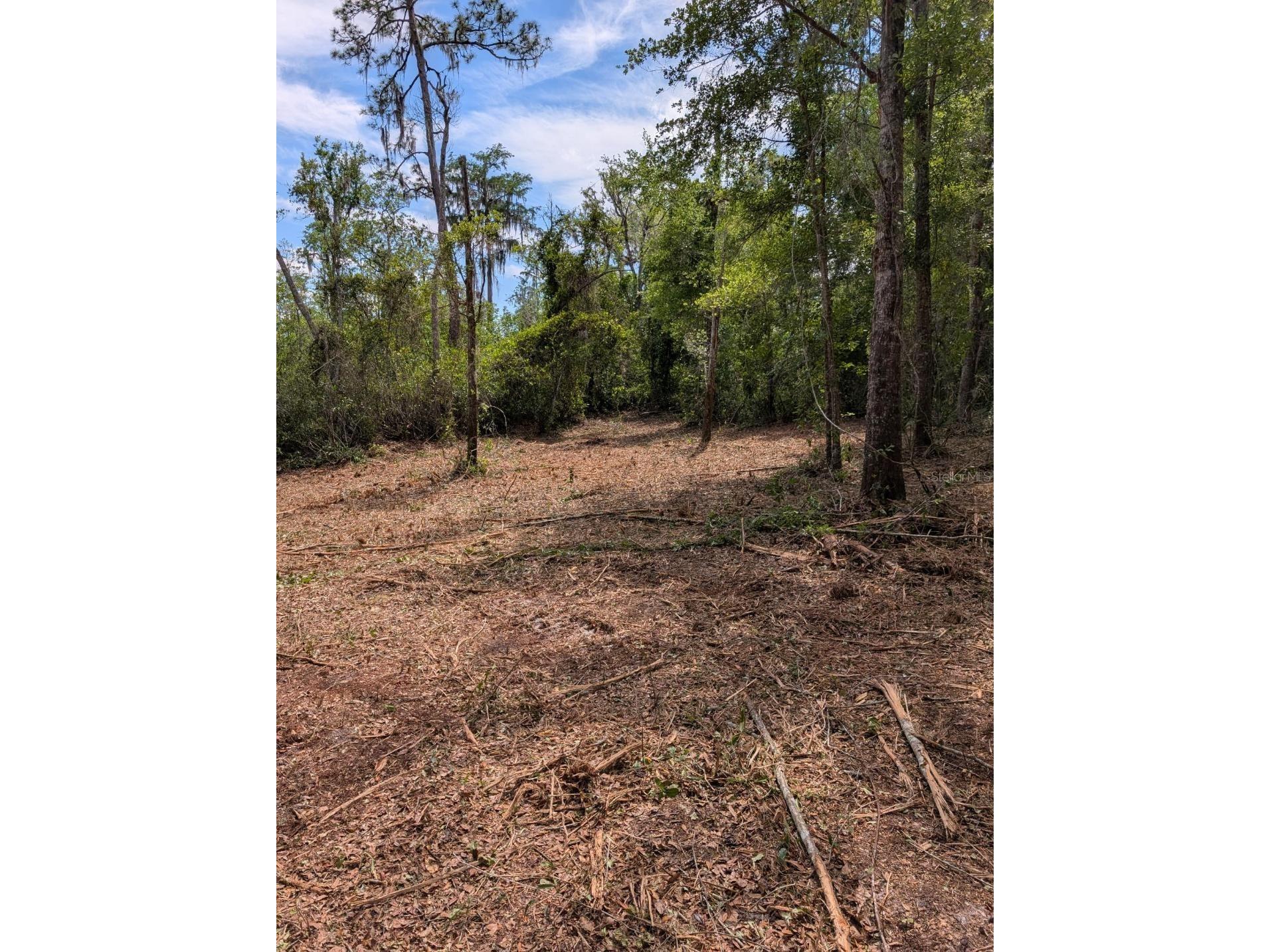 0 NE 220th Street Fort Mc Coy FL 32134 OM724633 image8
