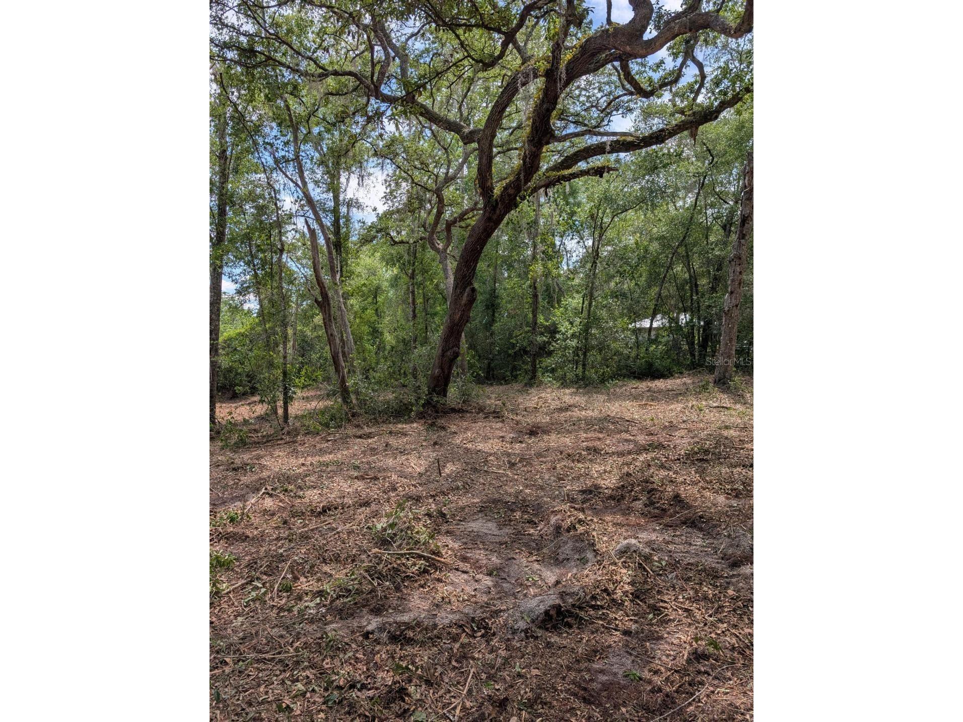 0 NE 220th Street Fort Mc Coy FL 32134 OM724633 image9