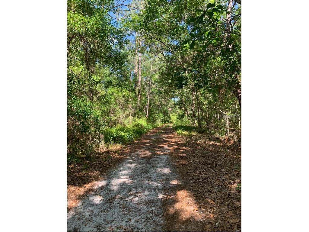 0 NE 226th Street #58 Fort Mc Coy FL 32134 - ISLAND LAKE DEER LAKE LAKE KER OM714474 image2