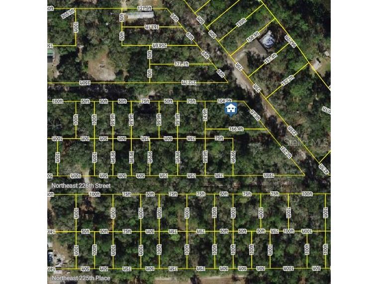 0 NE 227th Street Fort Mc Coy FL 32134 P4938116 image1