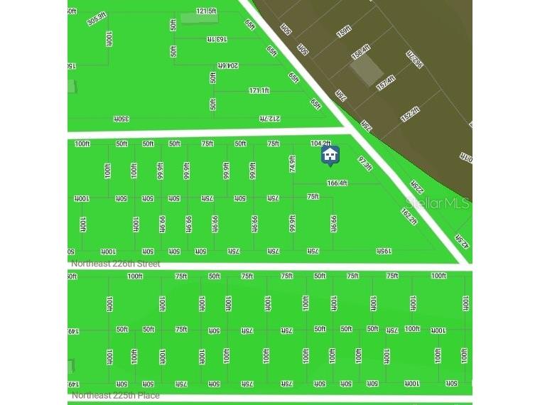 0 NE 227th Street Fort Mc Coy FL 32134 P4938116 image2