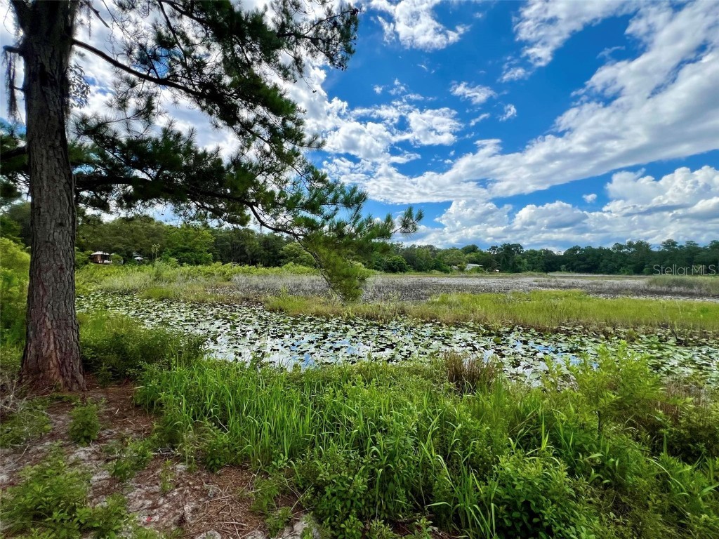 0 NE 2nd St Road Silver Springs FL 34488 - OWEN'S LAKE V4936875 image1