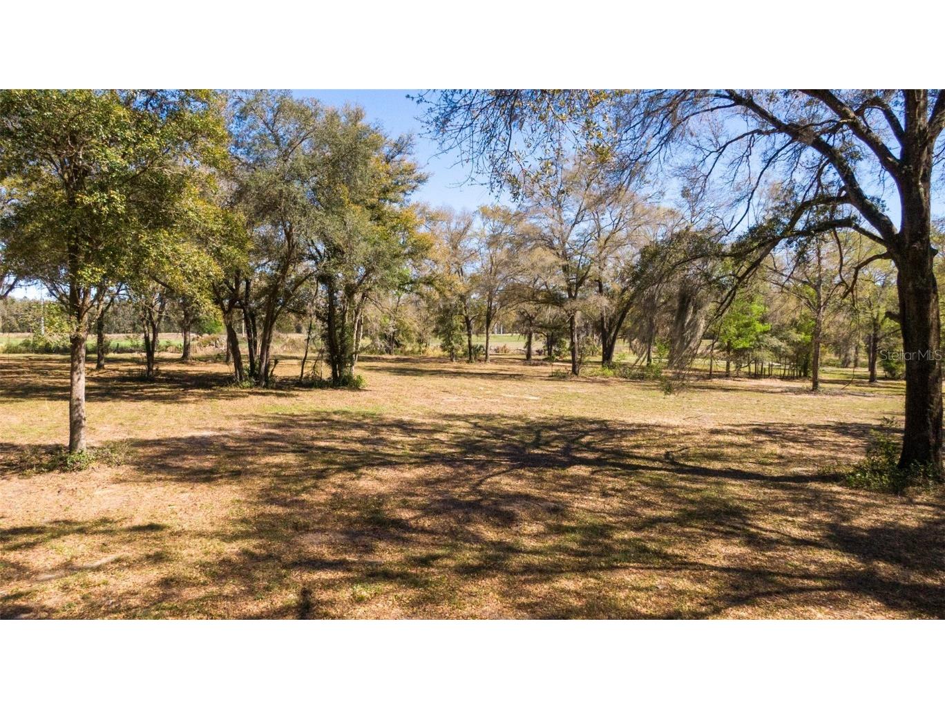 0 NE 36th Avenue Ocala FL 34479 OM696716 image16