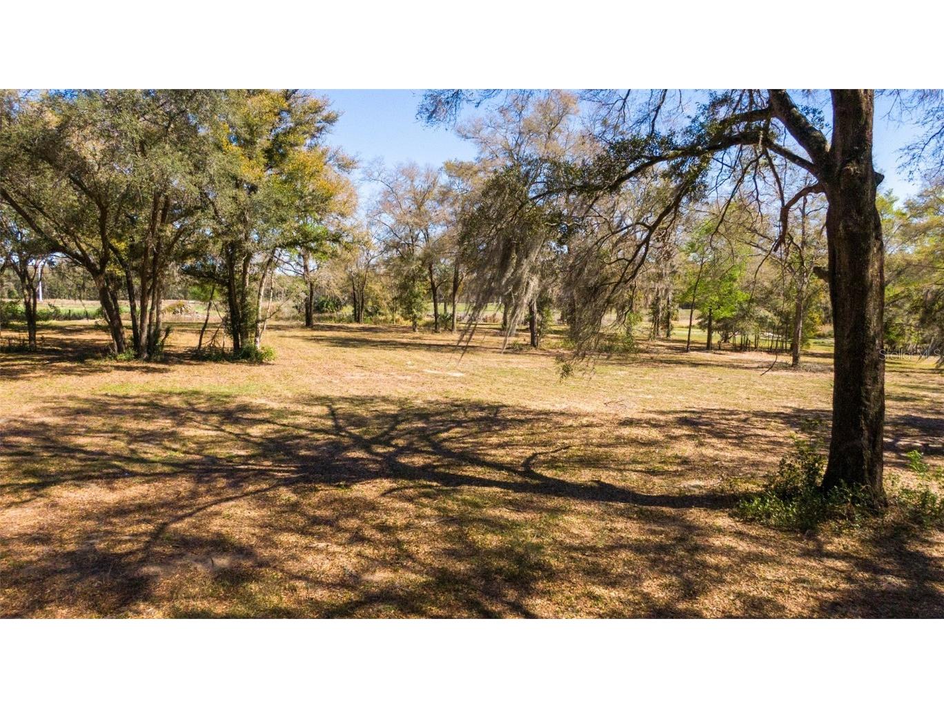 0 NE 36th Avenue Ocala FL 34479 OM696716 image17