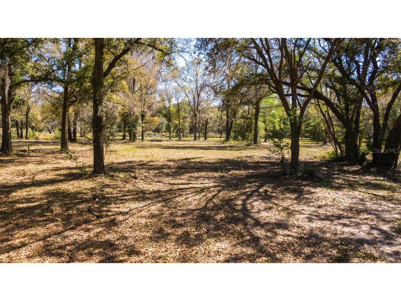 0 NE 36th Avenue Ocala FL 34479 OM696716 image26