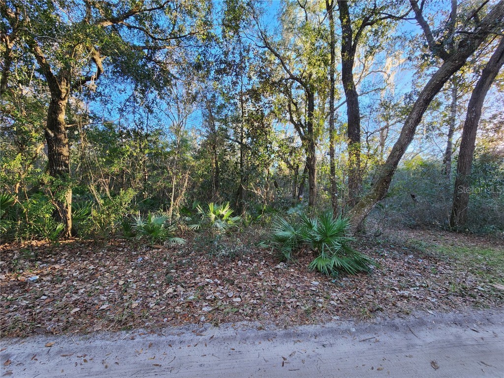 0 NE 37th Street Silver Springs FL 34488 OM671694 image1