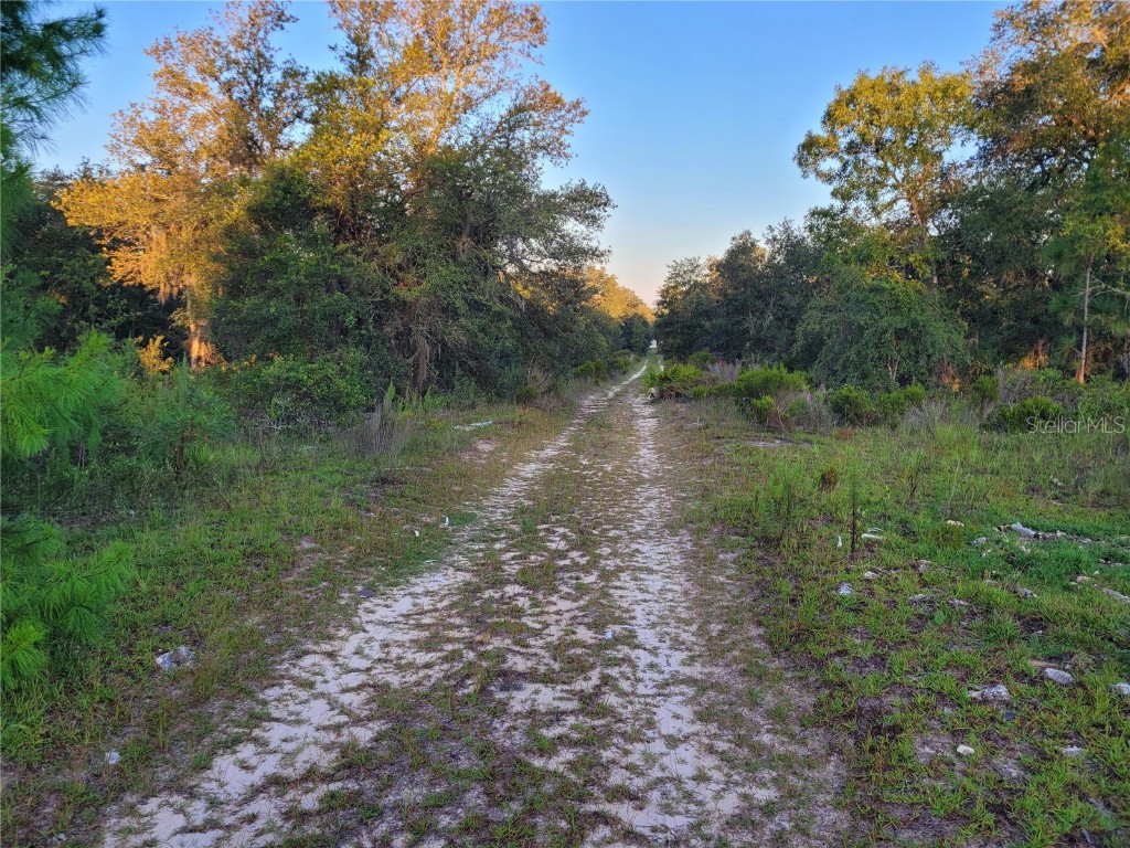 0 NE 61st Lane Williston FL 32696 O6324354 image3