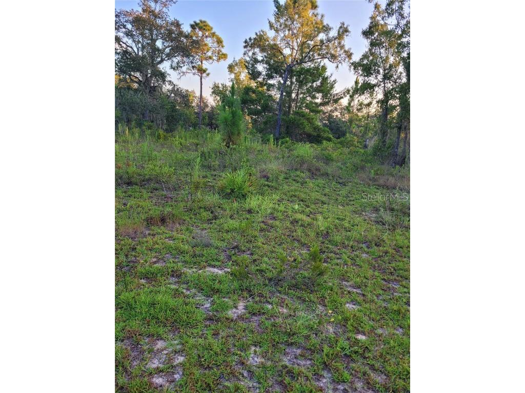 0 NE 61st Lane Williston FL 32696 O6324354 image6