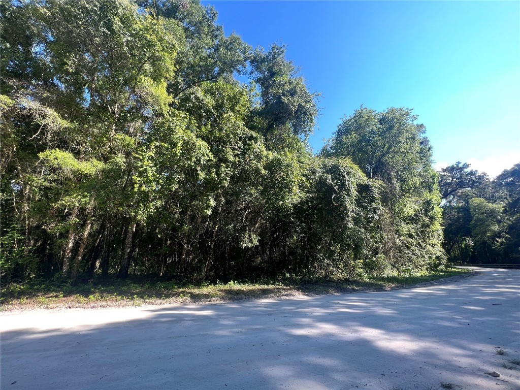 0 NE 642nd Street Old Town FL 32680 GC515298 image1