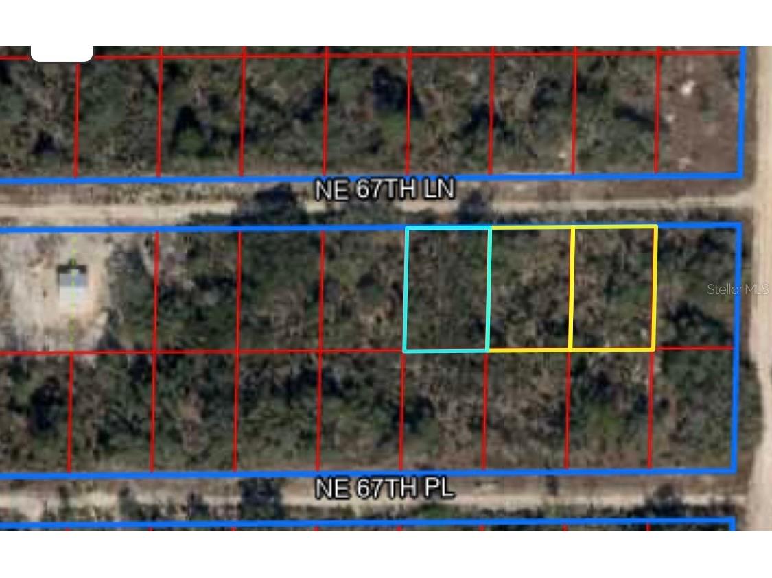 0 NE 67th Lane Williston FL 32696 OM676591 image1