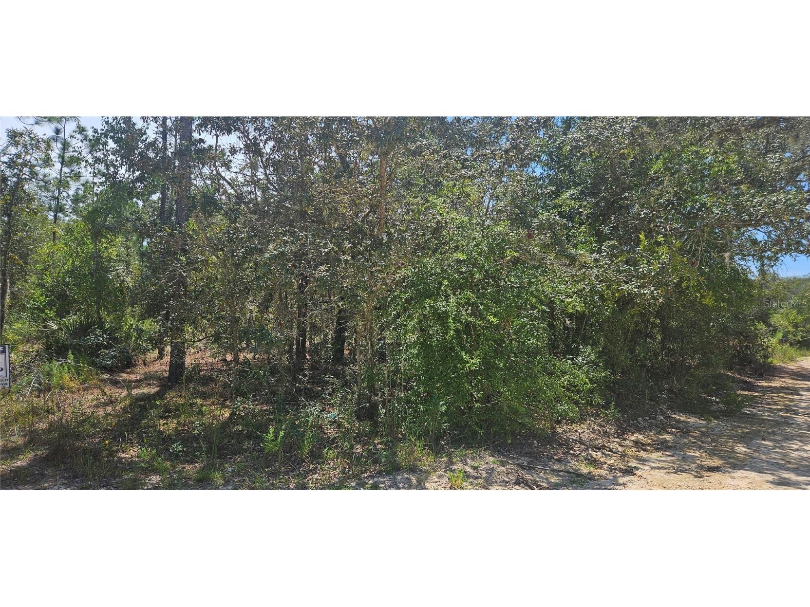 0 NE 67th Ln Bronson FL 32621 GC533538 image1