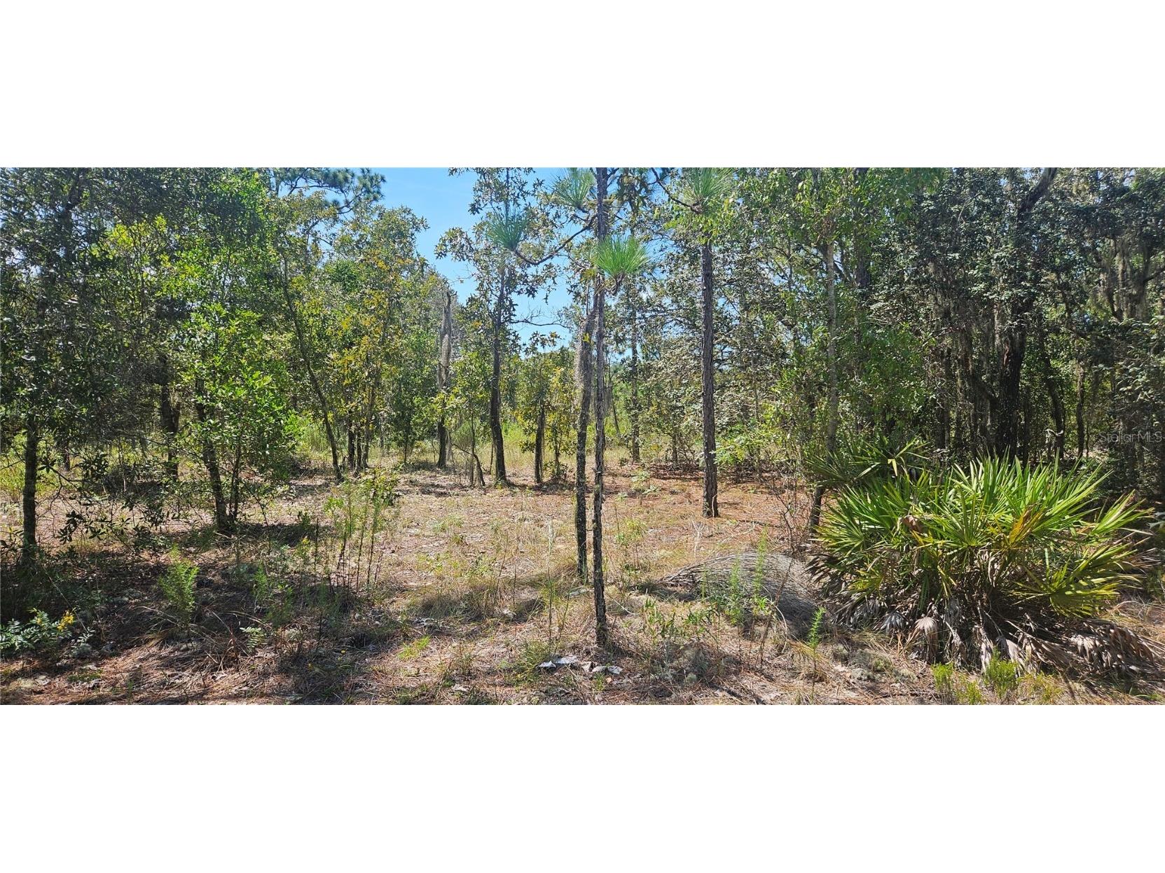 0 NE 67th Ln Bronson FL 32621 GC533538 image2