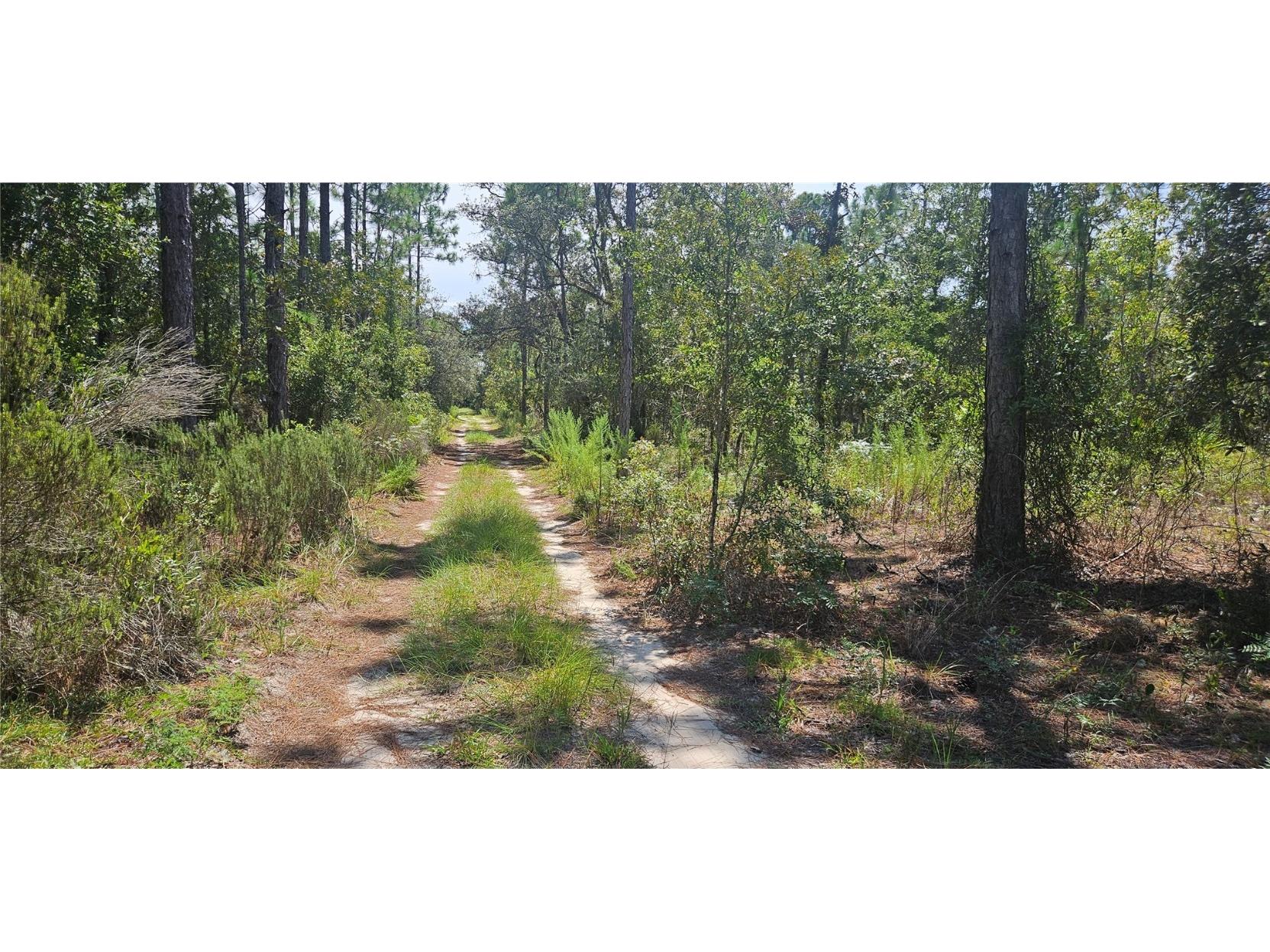 0 NE 67th Ln Bronson FL 32621 GC533538 image3