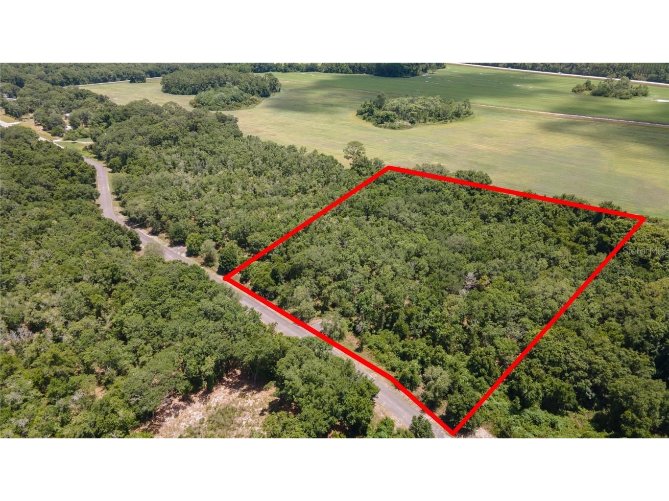 0 NE 69th Place Earleton FL 32631 GC523457 image1